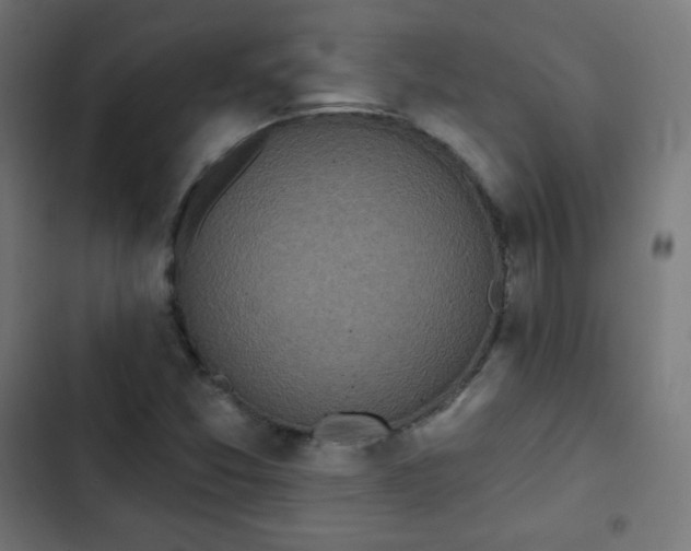 X0000103261357200809051433