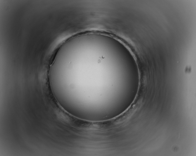 X0000103261359200809051433