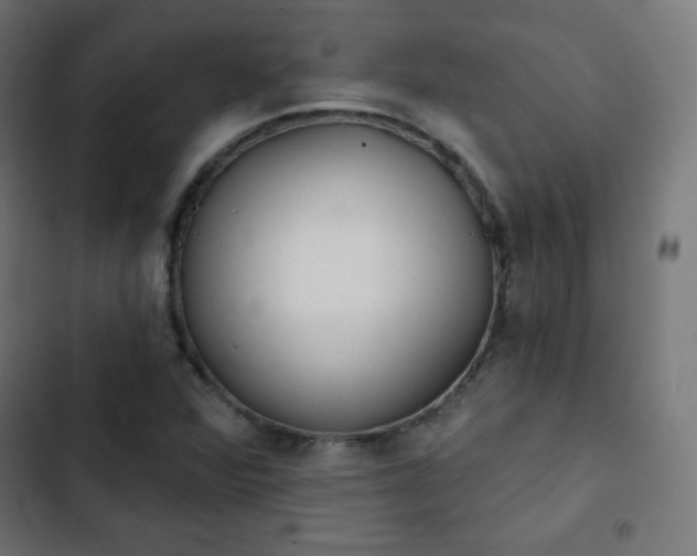 X0000103261360200809051433