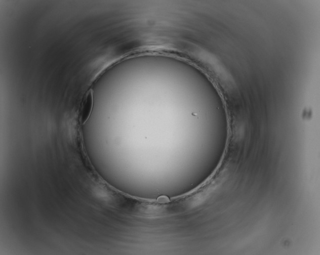 X0000103261361200809051433