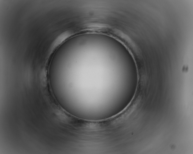 X0000103261362200809051433