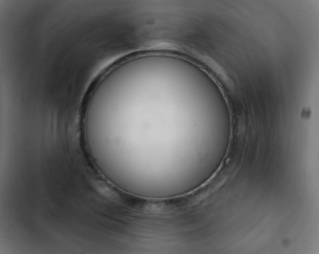 X0000103261364200809051433