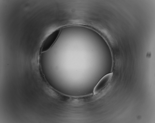 X0000103261365200809051433