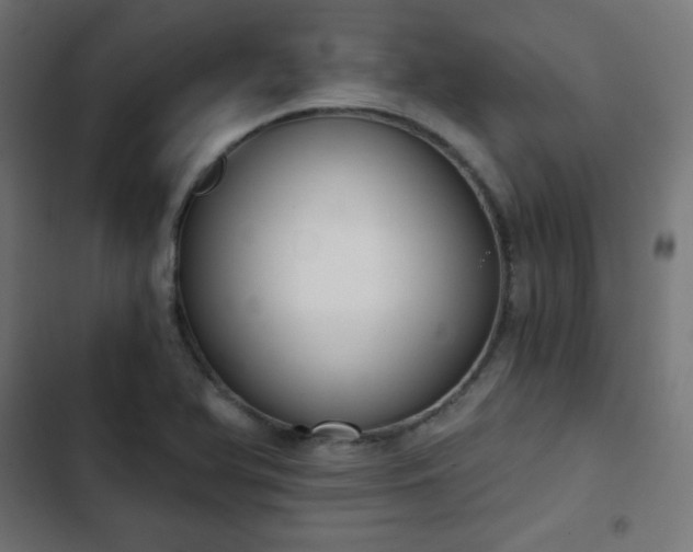 X0000103261366200809051433