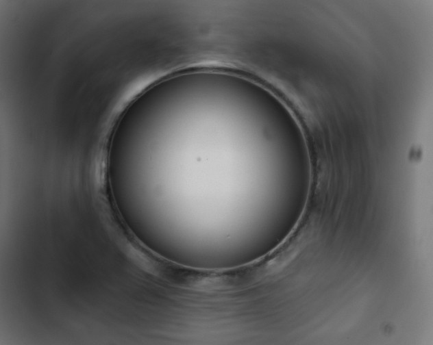 X0000103261367200809051433