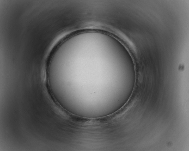 X0000103261368200809051433