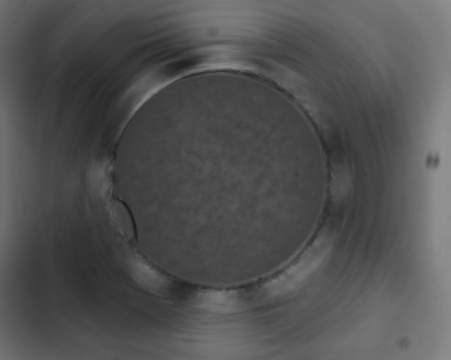 X0000103261369200809051433