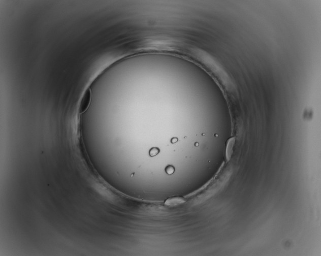 X0000103261370200809051433