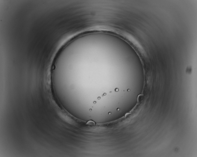 X0000103261372200809051433