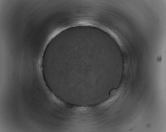 X0000103261373200809051433