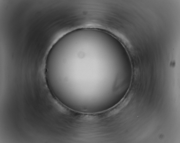 X0000103261374200809051433