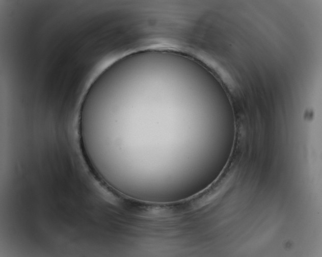 X0000103261375200809051433