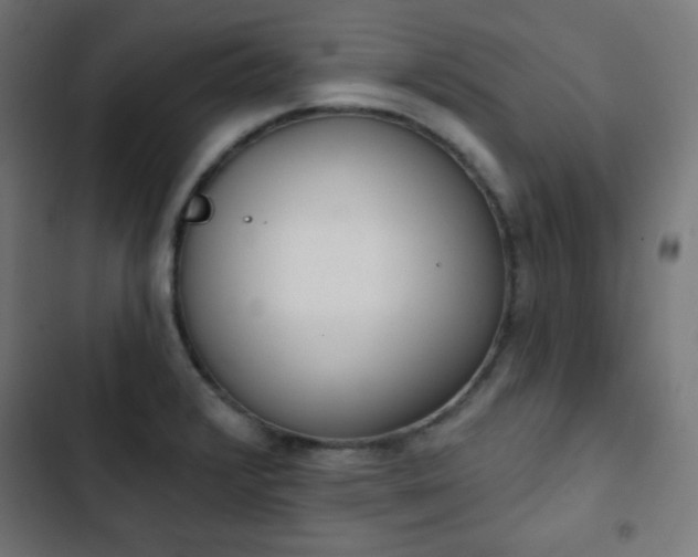 X0000103261376200809051433