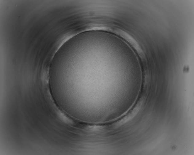 X0000103261377200809051433