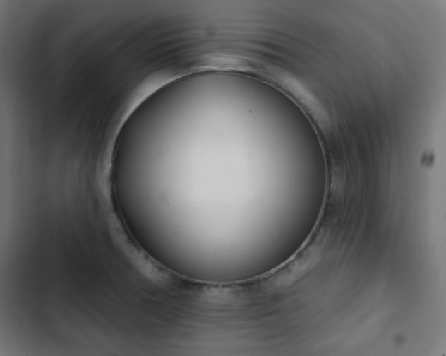 X0000103261378200809051433