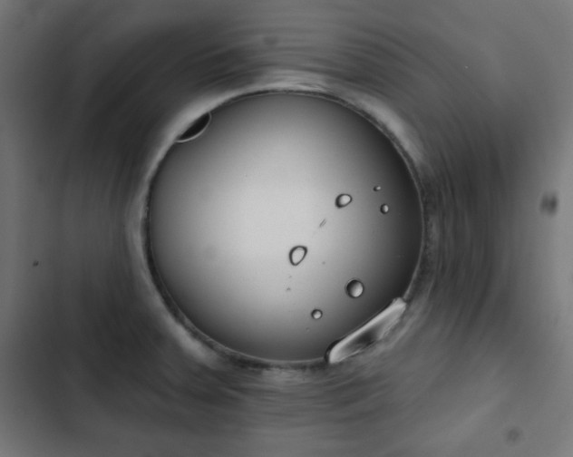 X0000103261379200809051433