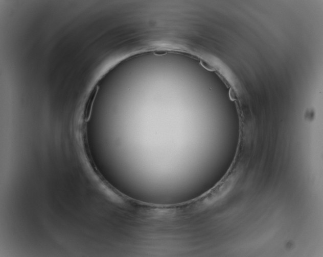 X0000103261381200809051433