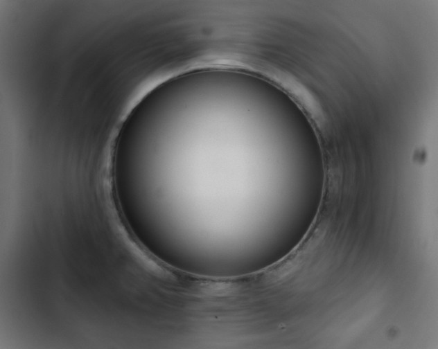 X0000103261382200809051433