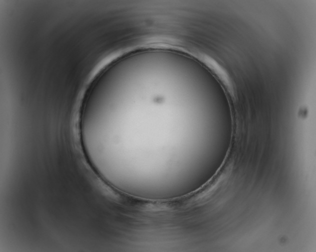 X0000103261384200809051433