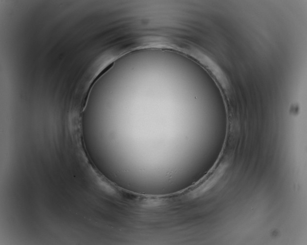 X0000103261385200809051433