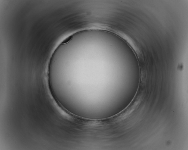 X0000103261387200809051433