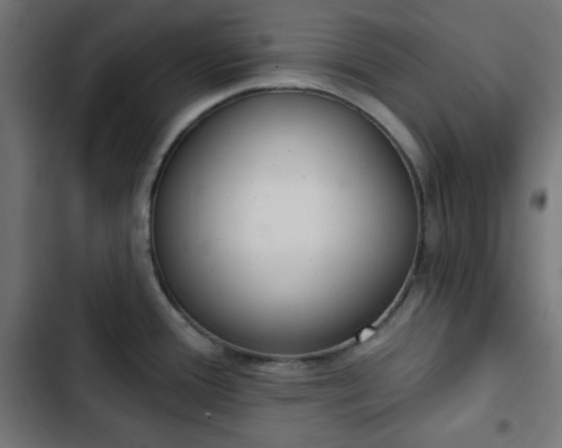 X0000103261388200809051433