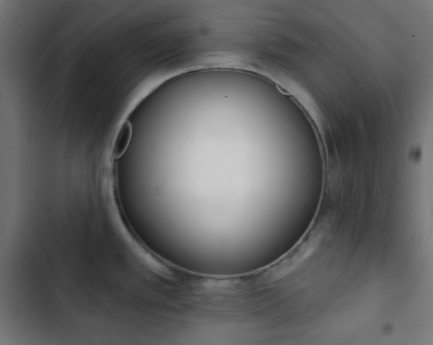 X0000103261389200809051433