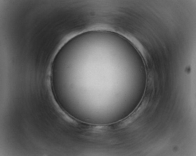 X0000103261390200809051433