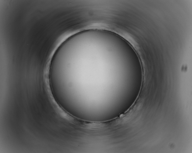 X0000103261392200809051433