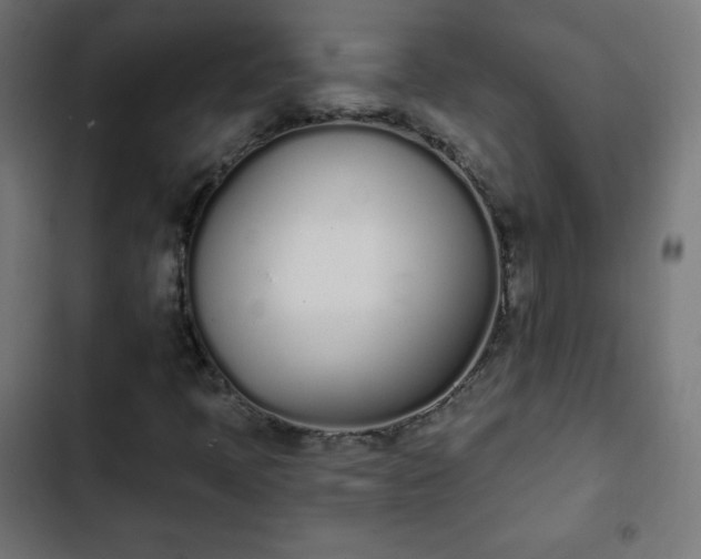 X0000103261397200809051432