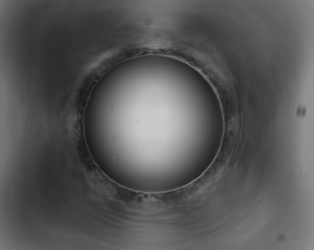 X0000103261398200809051432