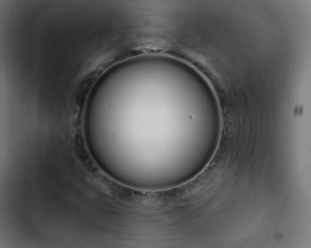 X0000103261399200809051432