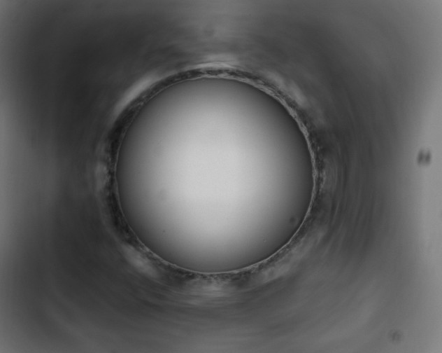 X0000103261400200809051432