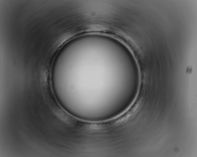 X0000103261401200809051432