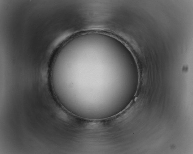 X0000103261406200809051432