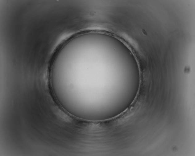 X0000103261408200809051432