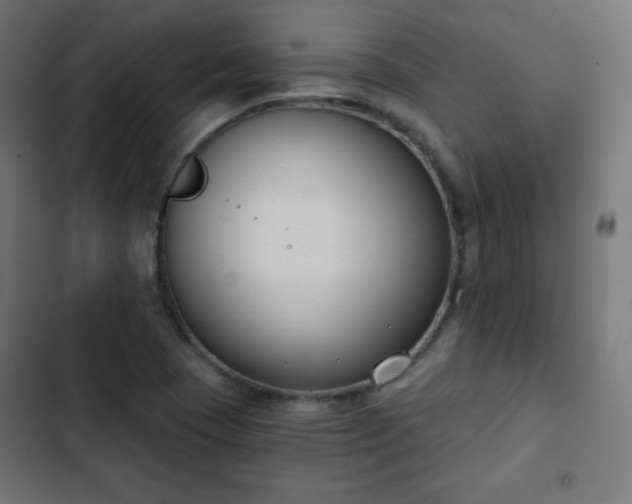 X0000103261409200809051432