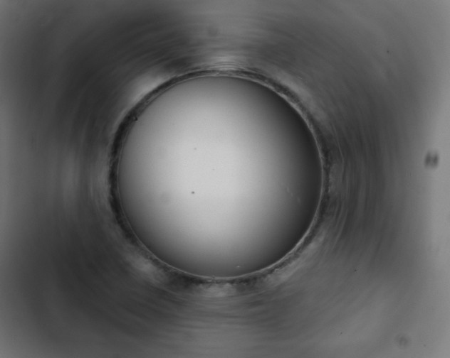 X0000103261410200809051432