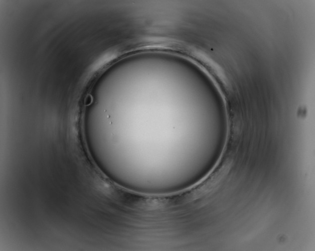 X0000103261411200809051432