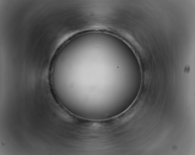 X0000103261412200809051432