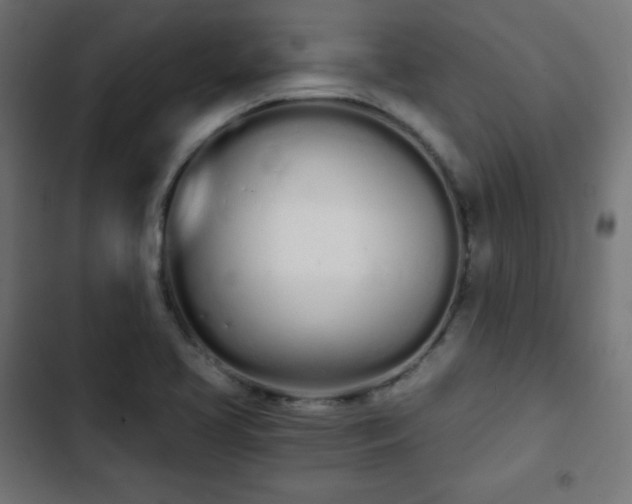 X0000103261413200809051432