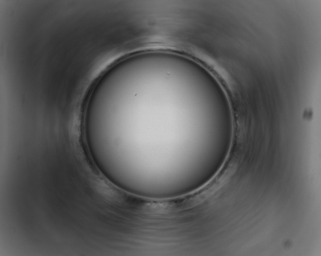 X0000103261415200809051432