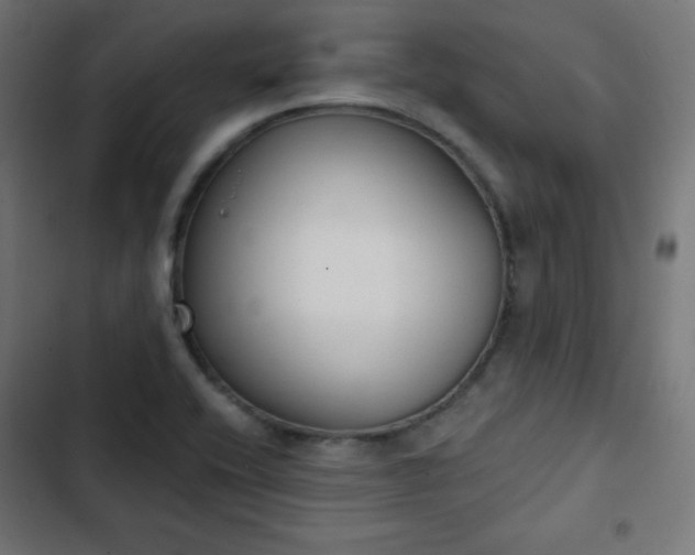 X0000103261416200809051432