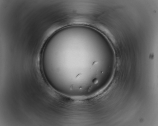 X0000103261419200809051432