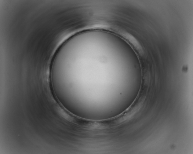 X0000103261420200809051432