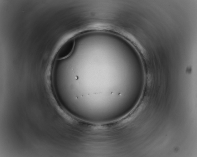 X0000103261421200809051432