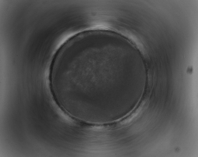 X0000103261422200809051432