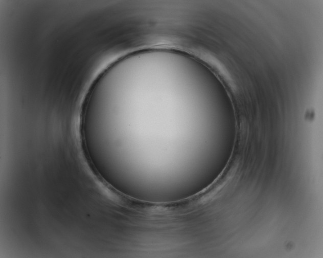 X0000103261424200809051433