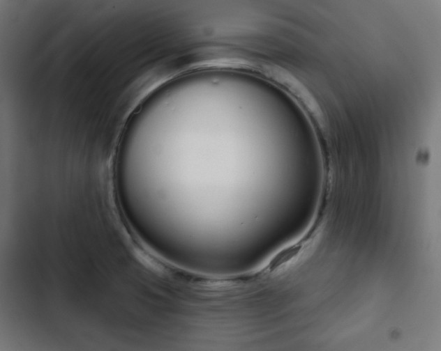 X0000103261425200809051433