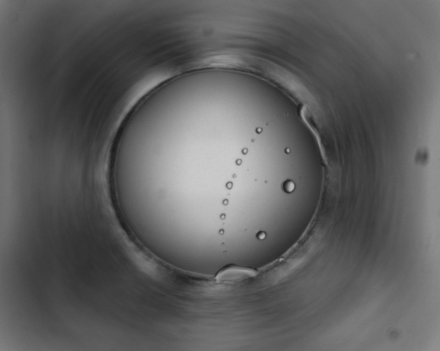 X0000103261426200809051433